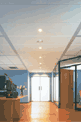 supspended ceilings
